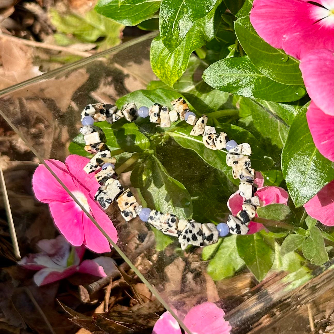 Dalmatian Jasper Bracelet
