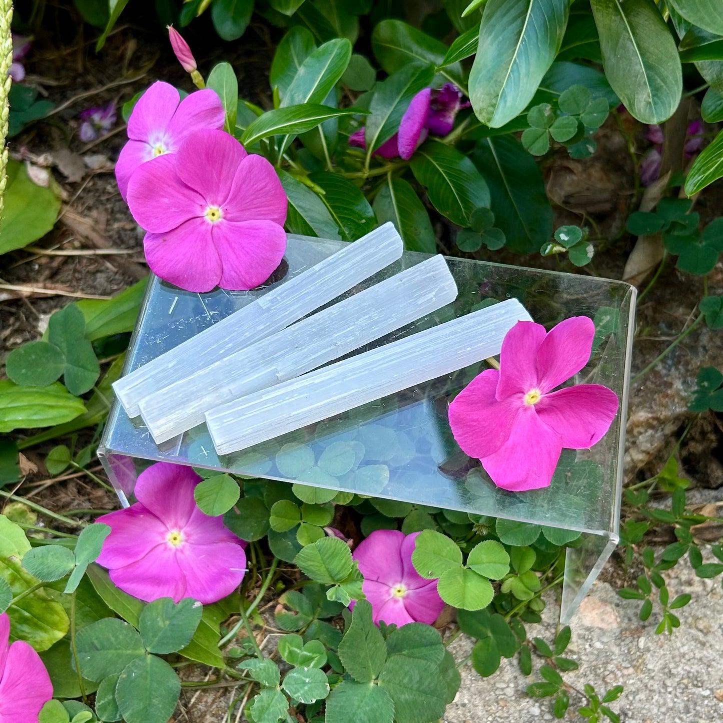 Selenite Sticks 4"