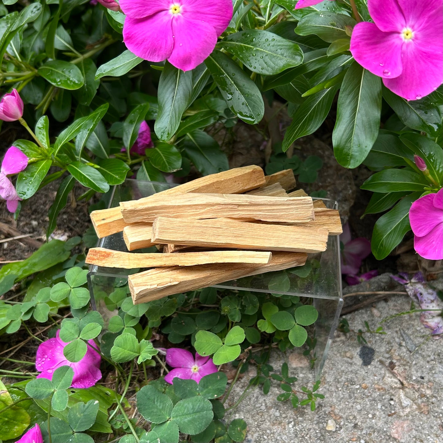 2 for $5.55 Palo Santo Sticks