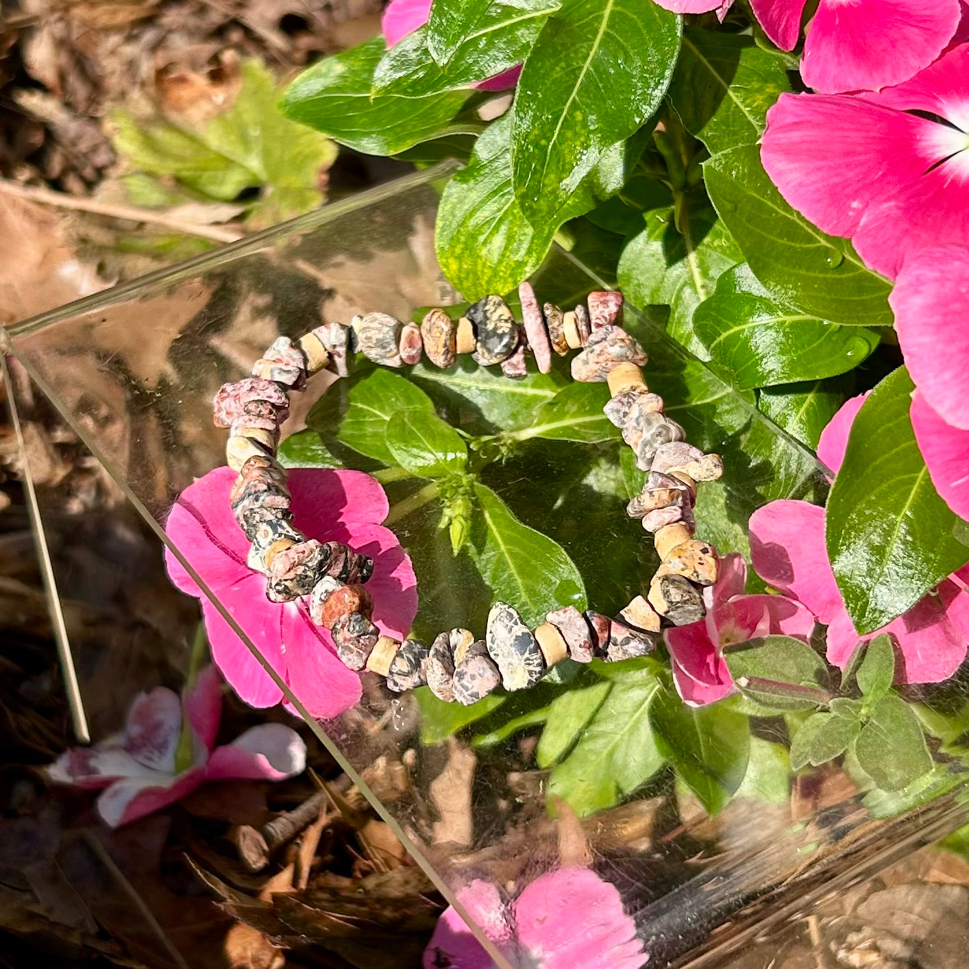 Leopard Skin Jasper Bracelet