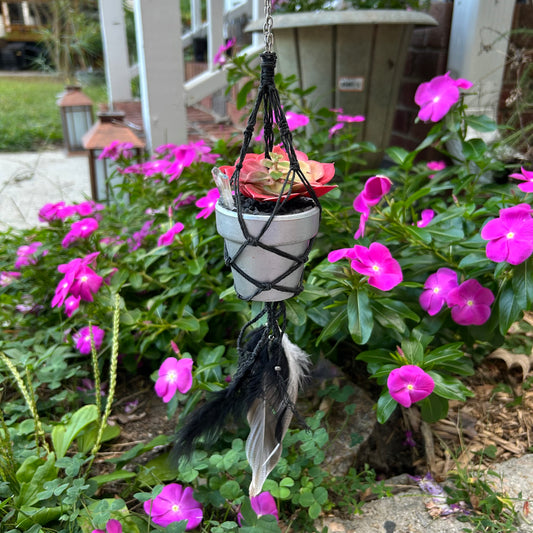 Hanging Aura Balancing Succulent Plant w/ Clear Quartz & Aura Quartz