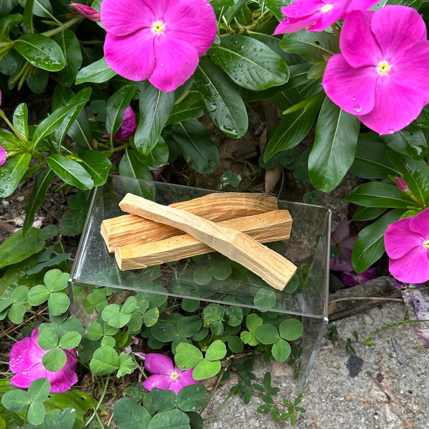 2 for $5.55 Palo Santo Sticks
