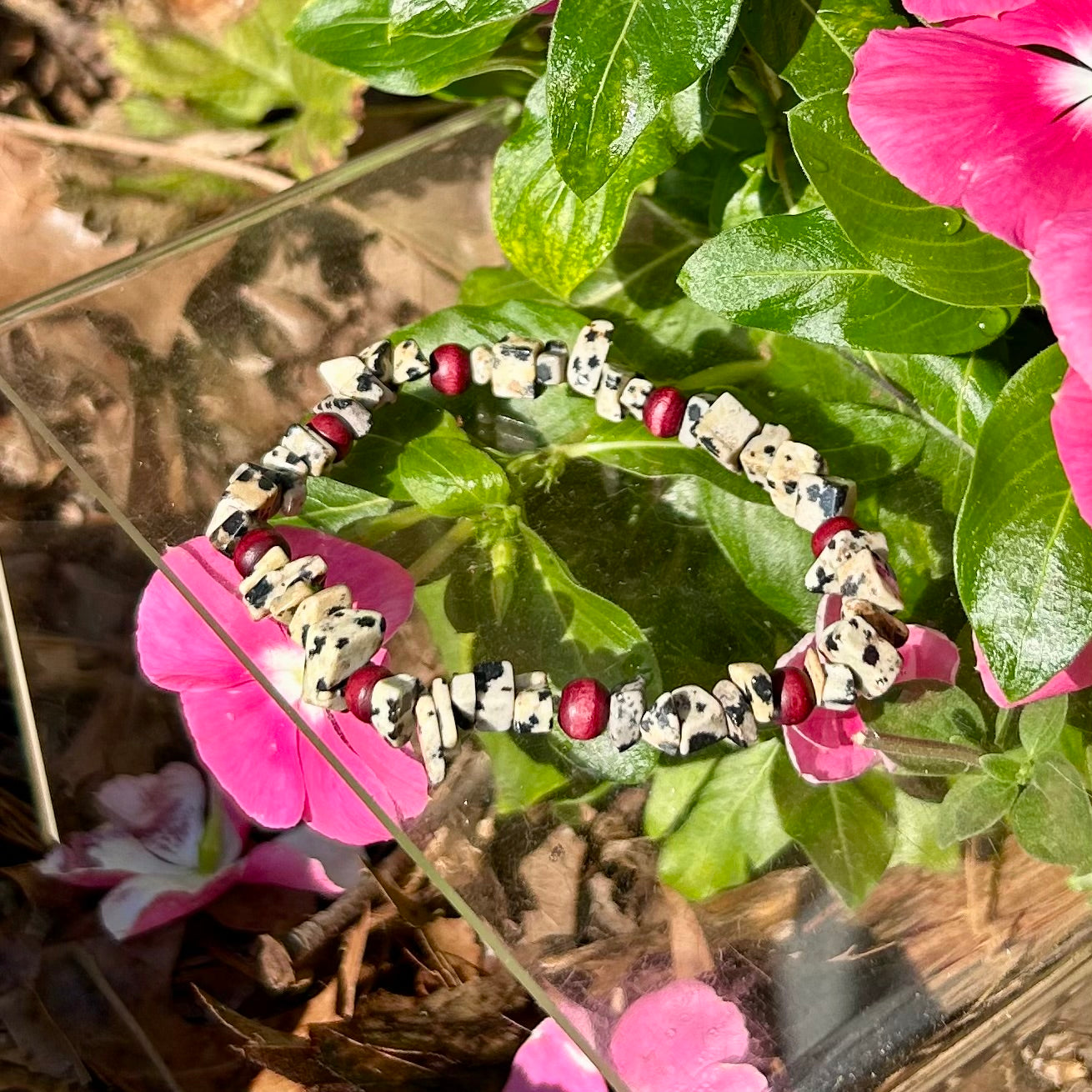 Dalmatian Jasper Bracelet