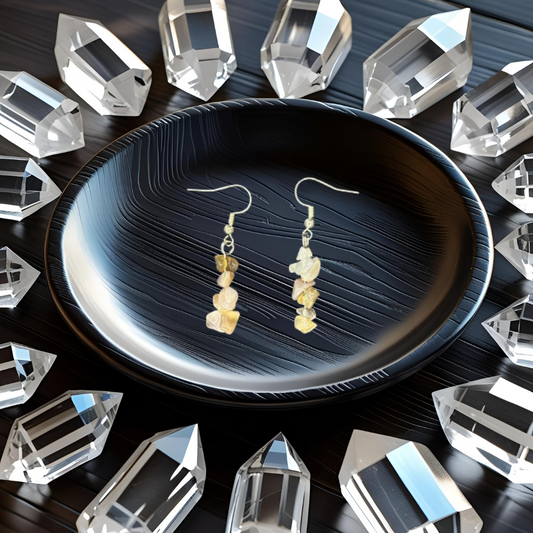 Botswana Agate Earrings