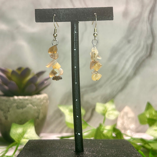 Botswana Agate Earrings